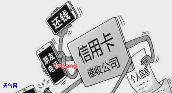 加盟信用卡公司违法吗？如何判断及举报