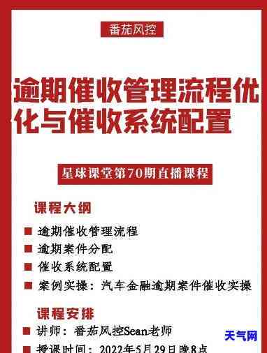 调查报告，深入探究：调查报告的关键发现与建议