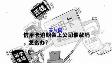 信用卡没还，谁会通知还款？为何提前催款电话不断？