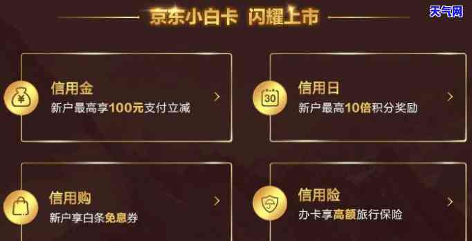 京东还信用卡可以用白条吗，使用还款信用卡可以吗？