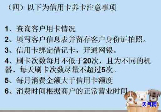 代还信用卡精养卡告：详解养卡与代还信用卡的区别