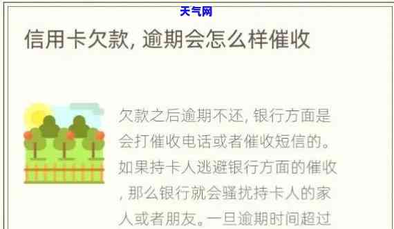 2020年信用卡规定，深入了解2020年信用卡规定，保护你的权益