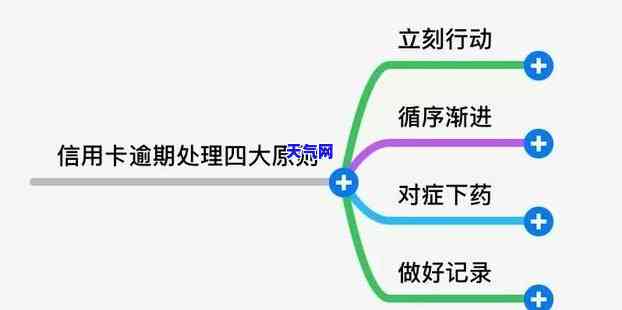 深入了解信用卡电话策略：定义、方法与实践