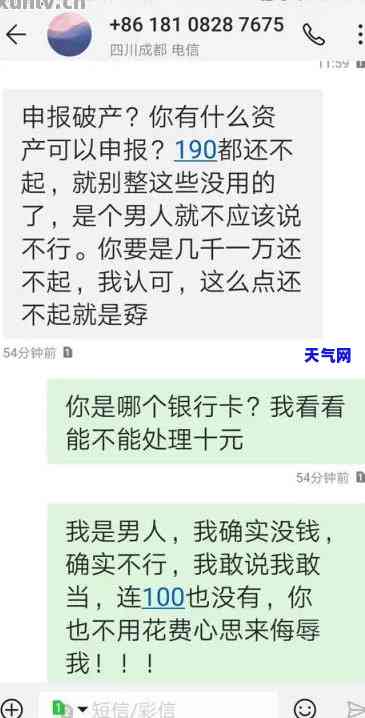 平安信用卡2017年案例，揭秘平安信用卡2017年案例：策略与效果分析