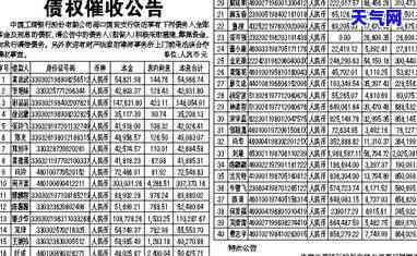 信用卡债权公告-信用卡债权公告怎么写