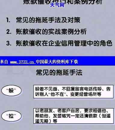 分成：从阶到公司的全面解析