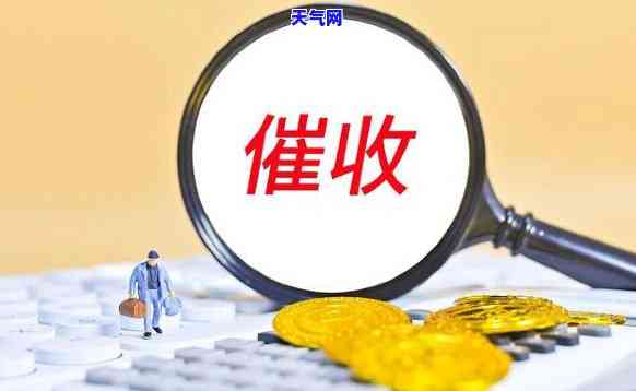 山西中是哪家，揭秘山西中公司：你所不知道的事实