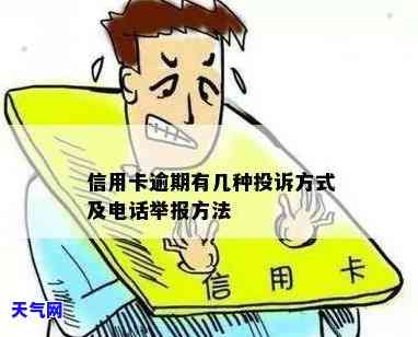 反信用卡举报方法及电话，如何有效应对