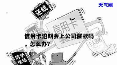 有专门催还信用卡的公司吗，揭秘：是否有专门催还信用卡的公司？