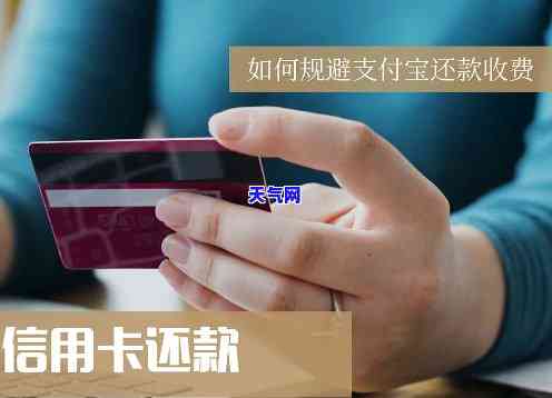 网上代还信用卡是否可信？收费标准如何？