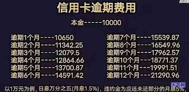 如何用1000元还清1万元信用卡账单：详细步骤与记录方法