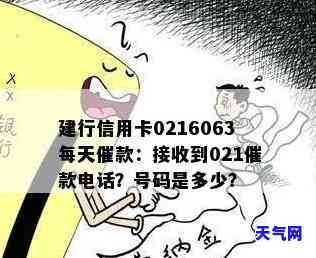 建行信用卡021每天频繁催款，时间持续多久？