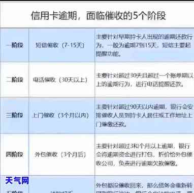 老公被拘留信用卡如何还款？详细步骤解析