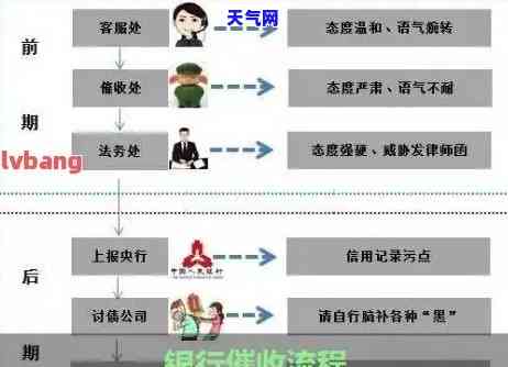 信用卡报案流程图：详细步骤与操作指南