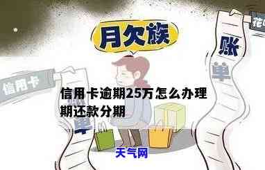 信用卡欠薪25万怎么还款，信用卡欠款25万，应该如何进行还款？