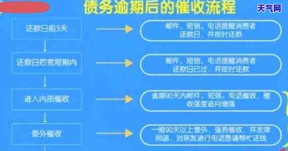 信用卡律师流程，深入解析：信用卡律师的详细流程