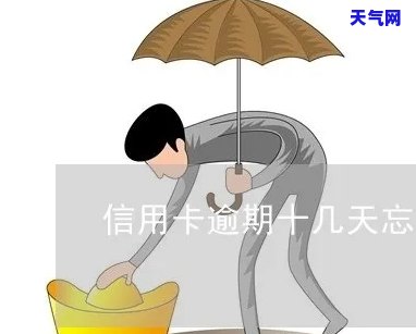 信用卡忘记还一百多-信用卡忘记还一百多会怎么样