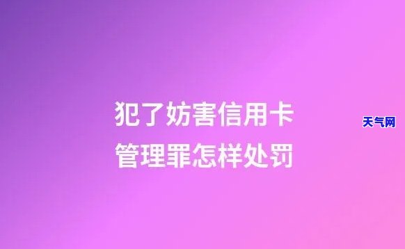 违反信用卡管理秩序罪：立案标准与刑事责任探讨