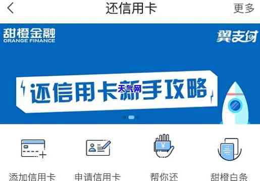 还信用卡分期的网站-还信用卡分期的网站有哪些