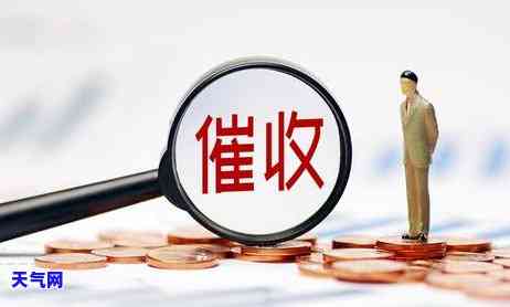 专属代码：定义、查询及使用方法