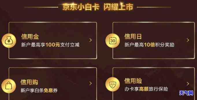 京东金库怎么还信用卡分期还款，京东金库：如何使用分期还款功能偿还信用卡？