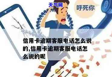 哪里有专业代还信用卡电话，寻找专业信用卡代还服务？这里提供联系方式！