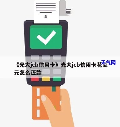 光大信用卡外汇怎么还-光大外币卡还款