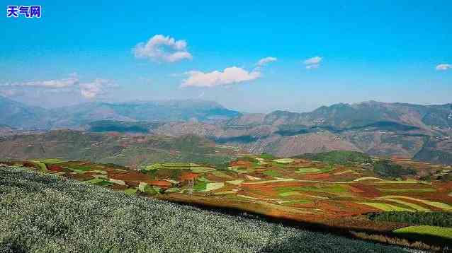 东川代还信用卡的地方-东川代还信用卡的地方在哪里