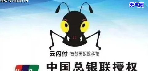 用黑蚂蚁还信用卡有影响吗，黑蚂蚁能还信用卡吗？可能会产生的影响解析