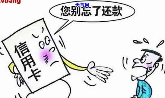 信用卡律师不给协商-信用卡律师不给协商怎么办