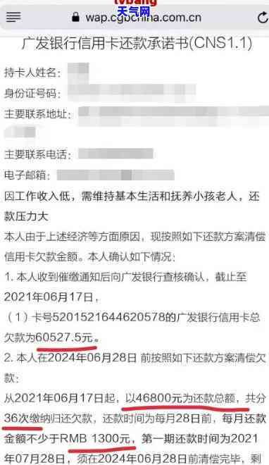 佛山信用卡协商还款流程，佛山信用卡协商还款全攻略：步骤、注意事和建议