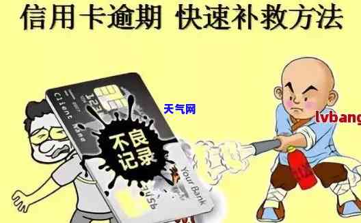 高手如何高效、低成本地还清信用卡债务？