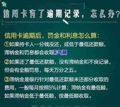 州信用卡协商还款电话是多少？官方客服电话查询