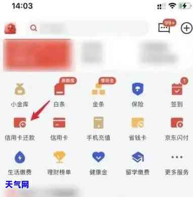 京东还信用卡能垫钱吗怎么还，京东还信用卡能否垫钱还款？操作步骤详解