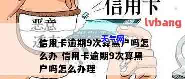 黑户信用卡代还软件-黑户信用卡代还软件有哪些