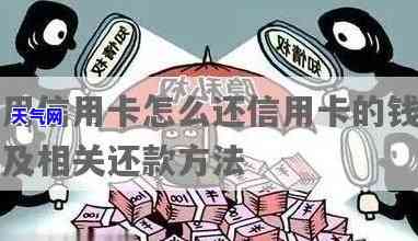 现金可以还信用卡吗，探讨：现金是否可以用于偿还信用卡？