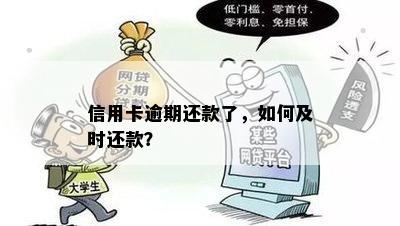 信用卡逾期还款了，如何及时还款？