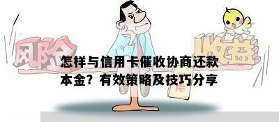 怎样与信用卡协商还款本金？有效策略及技巧分享