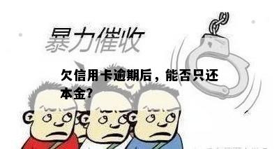 欠信用卡逾期后，能否只还本金？