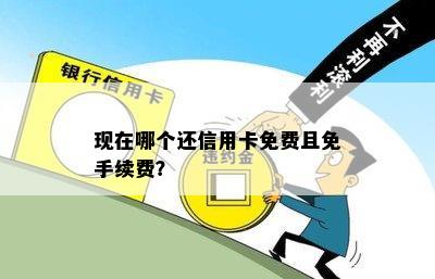 现在哪个还信用卡免费且免手续费？