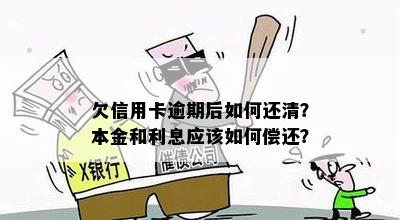 欠信用卡逾期后如何还清？本金和利息应该如何偿还？