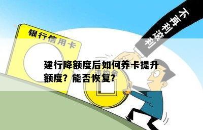 建行降额度后如何养卡提升额度？能否恢复？