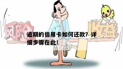 逾期的信用卡如何还款？详细步骤在此！