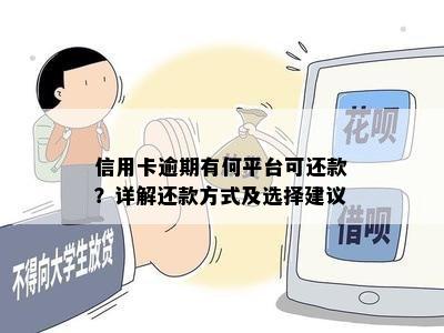 信用卡逾期有何平台可还款？详解还款方式及选择建议