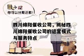 四川绵阳公司，揭秘四川绵阳公司的运营模式与服务特点