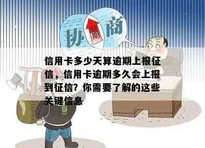 信用卡多少天算逾期上报，信用卡逾期多久会上报到？你需要了解的这些关键信息