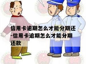 信用卡逾期怎么才能分期还-信用卡逾期怎么才能分期还款