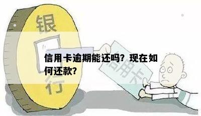 信用卡逾期能还吗？现在如何还款？