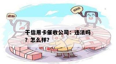 干信用卡公司：违法吗？怎么样？