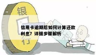 信用卡逾期后如何计算还款利息？详细步骤解析